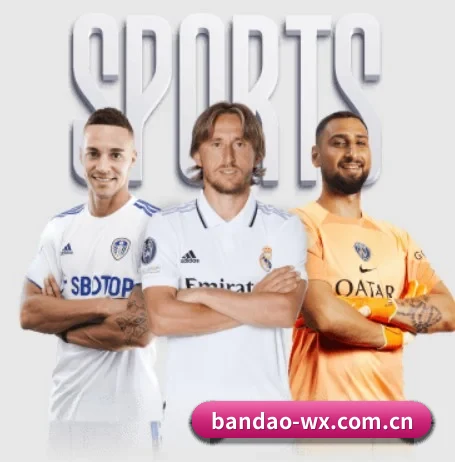 半岛体育 APP(BANDAO SPORTS)